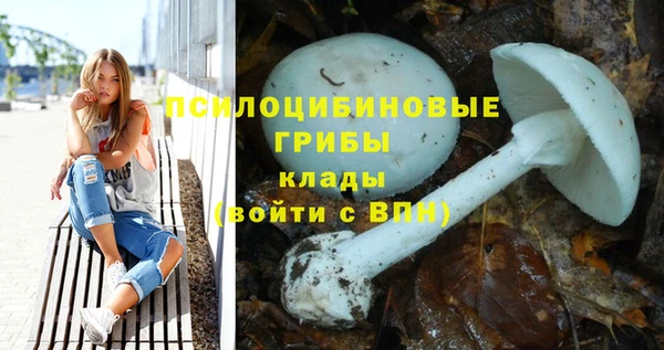 винт Новокубанск