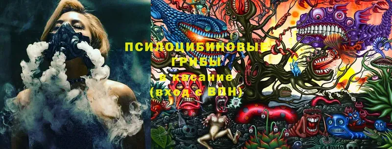 Псилоцибиновые грибы Psilocybine cubensis  гидра зеркало  Ясногорск 